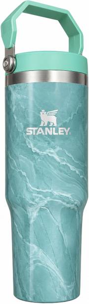 stanle Vacuum Insulated Tumbler Bottle Travel Coffee Cup Leakproof for Girls and Boys Stainless Steel Tumbler
