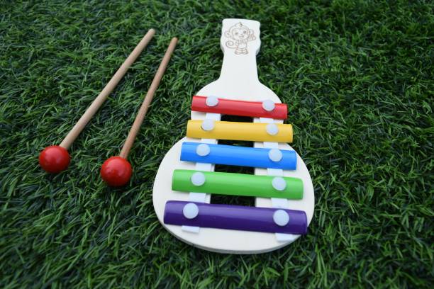 toycel Wood Xylophone with Mallets Orff Music Instrument Toy for Educational & Learning