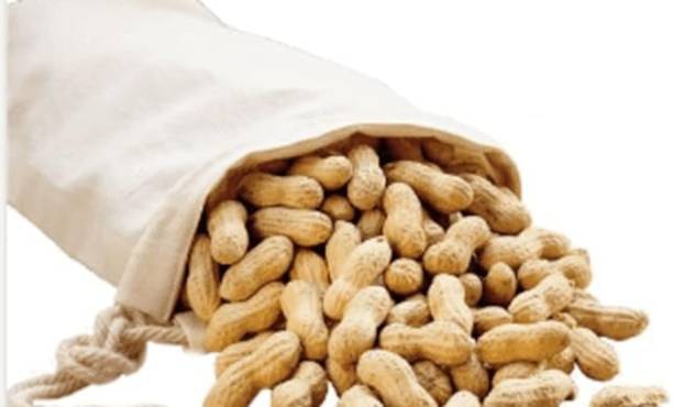 Avlokan Winter Badam Sabut Peanuts/Mungfala/Mungfali Dana Groundnut With Shell Chestnuts