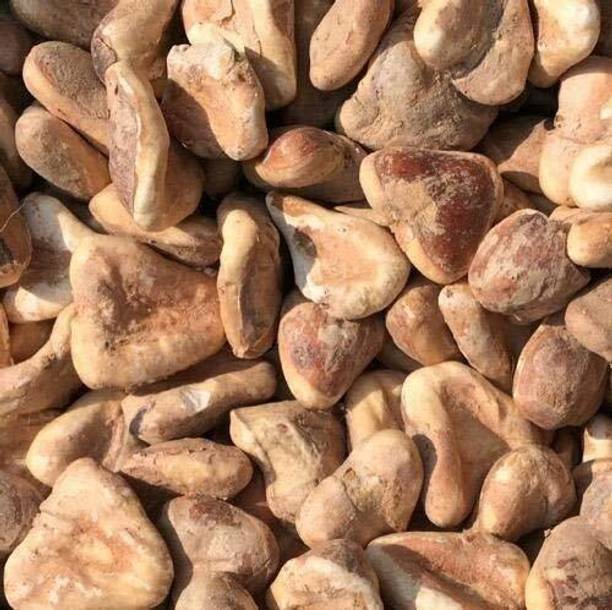 FreshTrain Dry Chestnut Singhara | Sabut Singhada | Water chestnuts | Sukha Paniphal |Dried Chestnuts