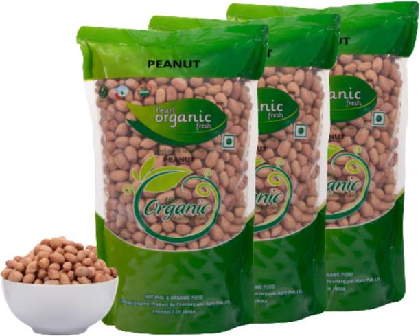 Pearl Organic Fresh PEANUT 3 KG Pine Nuts