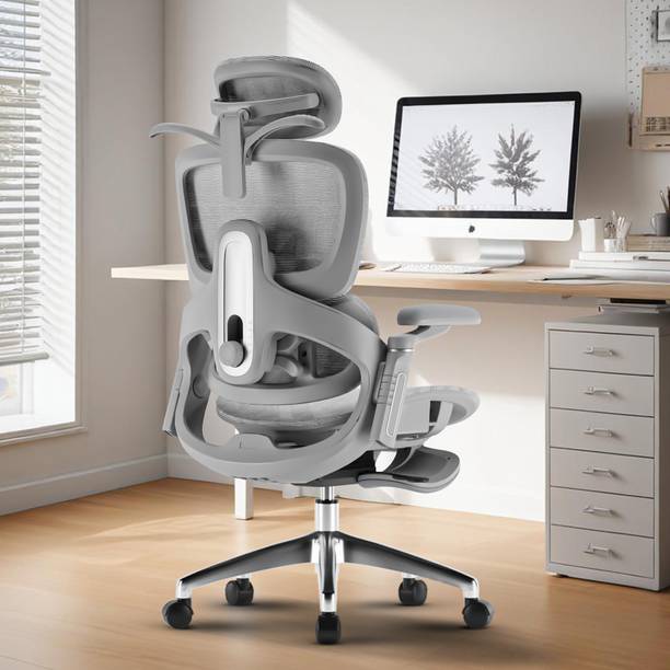 Drogo Ergonomic Office Chair for Work from Home Computer Chair 6D Armrest, 4D Headrest Mesh Office Executive Chair