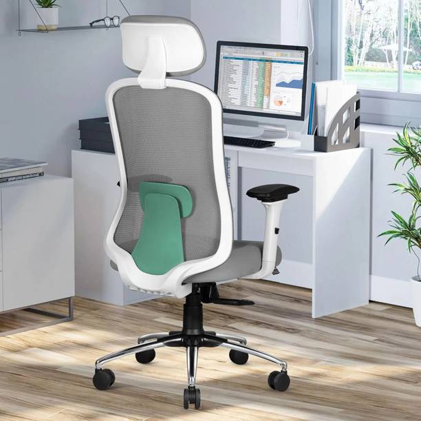 ASTRIDE Erizo Ergonomic Office Chair|Multilock|4D Arm|Adjustable Head &Lumbar|Metal Base Mesh Office Executive Chair