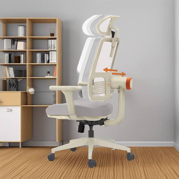 Drogo Ergonomic Office Chair for Work from Home Computer Chair Adaptive Lumbar Support Mesh Office Executive Chair