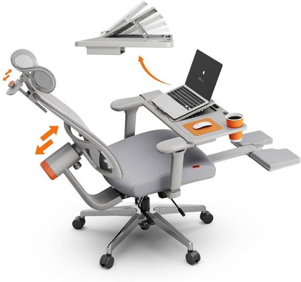 Drogo Mesh Office Executive Chair