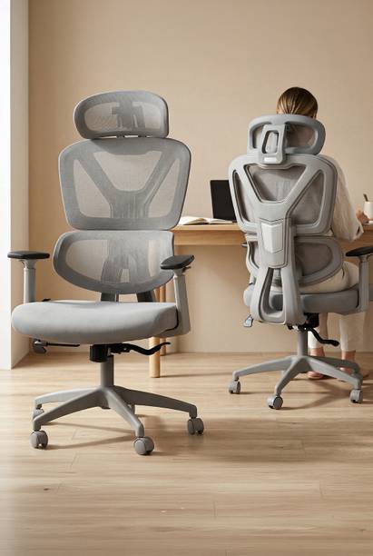 Drogo Ergonomic Office Chair for Work from Home Computer Chair with Lumbar Support 3D Mesh Office Adjustable Arm Chair