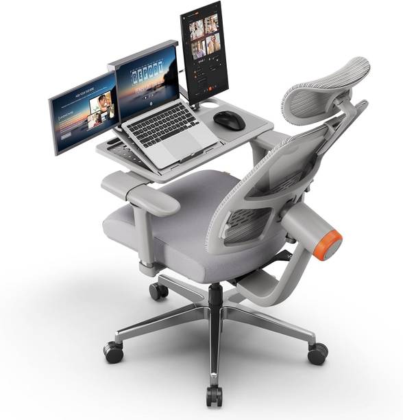Drogo Ergonomic Office & Computer chair with Lumbar Support, 4D Armrest, Recline, Tray Mesh Office Executive Chair