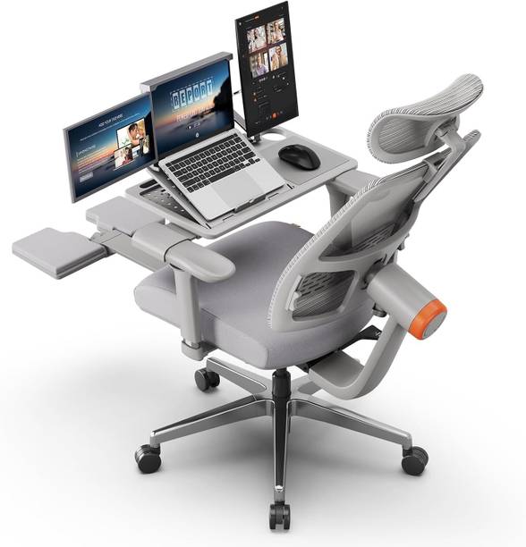 Drogo Mesh Office Executive Chair