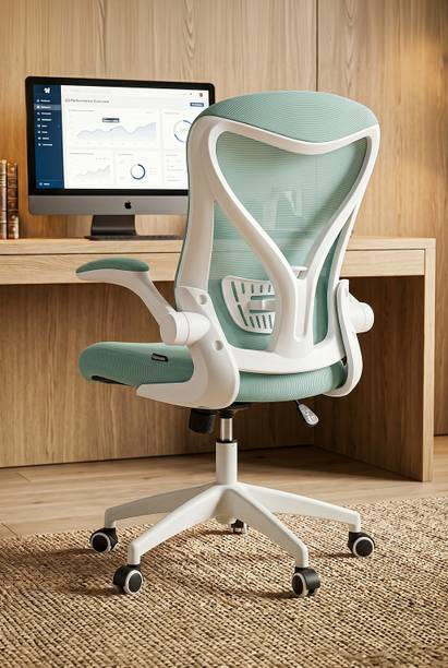 Drogo Ergonomic Office for Work from Home Computer with Lumbar Support Mesh Office Executive Chair