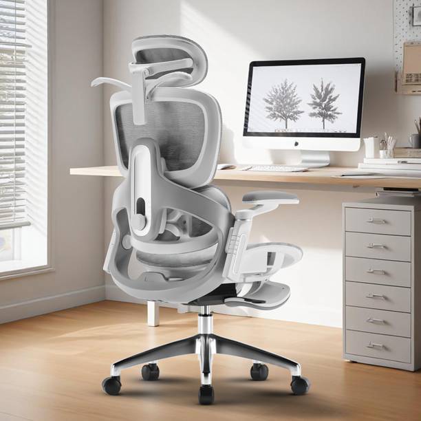 Drogo Ergonomic Office Chair for Work from Home Computer Chair 6D Armrest, 4D Headrest Mesh Office Executive Chair