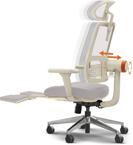 Drogo Ergonomic Office Chair for Work from Home Computer Chair Adaptive Lumbar Support Mesh Office Executive Chair