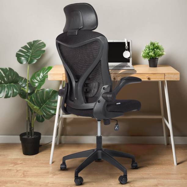 Drogo Ergonomic Office Chair/Computer Chair with Adjustable headrest & Lumbar support Mesh Office Executive Chair