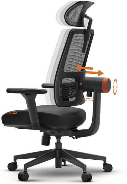 Drogo Ergonomic Office for Work from Home Computer Adaptive Lumbar Support Mesh Office Executive Chair