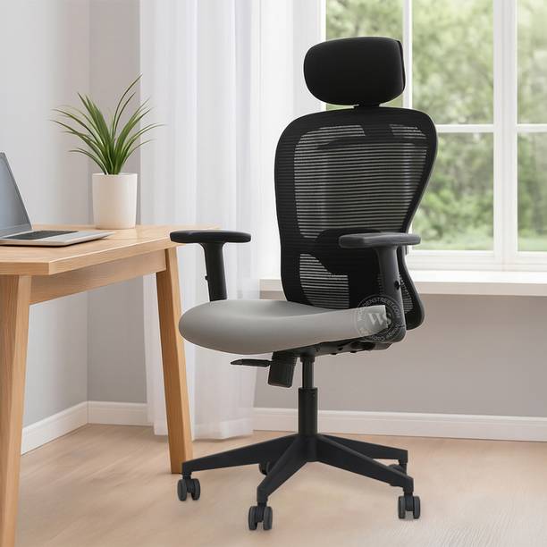 Wooden Street Balanco Premium Mesh Chair with Multi-Angle Lock Mechanism (Grey) Nylon Office Executive Chair