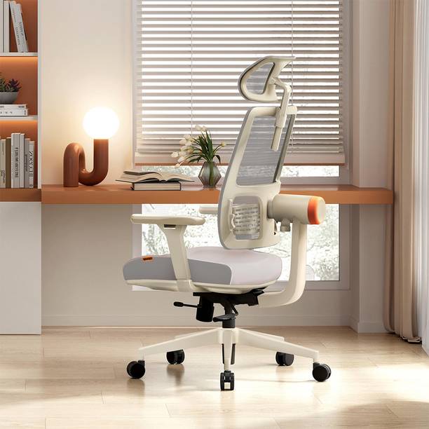 Drogo Ergonomic Office Chair/Computer Chair with 4D Armrest& Adaptive Lumbar Support Mesh Office Executive Chair