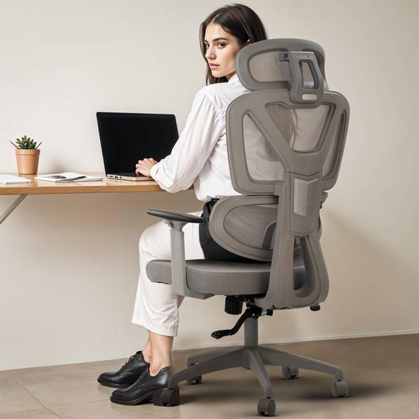 Drogo Ergonomic Office Chair for Work from Home Computer Chair with Lumbar Support 3D Mesh Office Adjustable Arm Chair