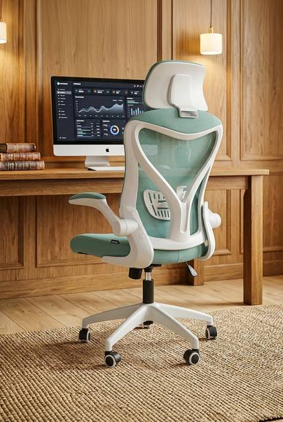 Drogo Office for Work from Home Computer with Head & Lumbar Support Mesh Office Executive Chair