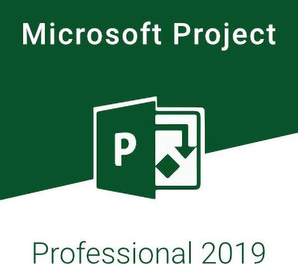 MICROSOFT Project Professional 2019 for Windows (1 User, Lifetime Validity)