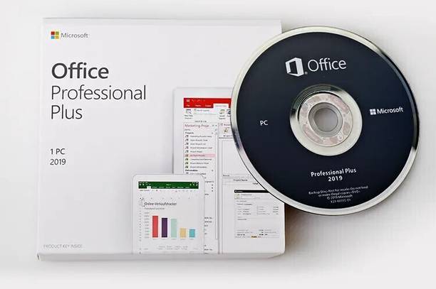 MICROSOFT Office Professional Plus 2019 (1 User, Lifetime Validity) DVD Retail Pack
