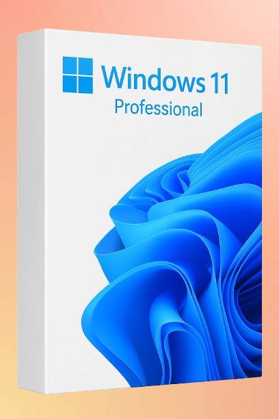 MICROSOFT Windows 11 Professional_AB025 1 User / 1 PC Lifetime Validity Retail License 32 /64 Bit (Flash Drive)