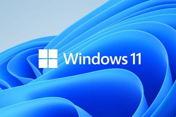 MICROSOFT Windows 11 Professional Retail 32/64 Bit (1 U...