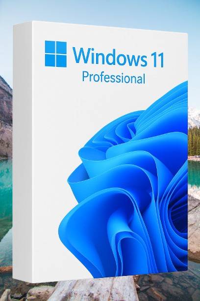 MICROSOFT Windows 11 Professional_AB014 1 User / 1 PC Lifetime Validity Retail License 32 /64 Bit (Flash Drive)