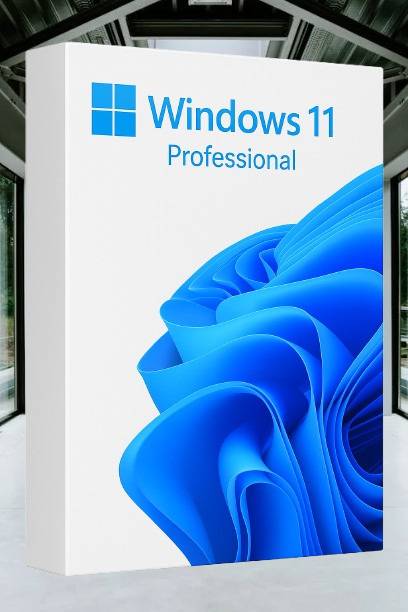 MICROSOFT Windows 11 Professional_AB09 1 User / 1 PC Lifetime Validity Retail License 32 /64 Bit (Flash Drive)