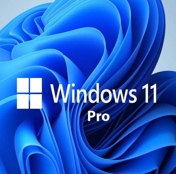 Repex Windows 11 Professional OEM,1 PC,Lifetime Validit...