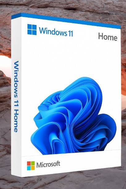 MICROSOFT Windows 11 Home_22 1 User / 1 PC Lifetime Validity Retail License 32 /64 Bit (Flash Drive)