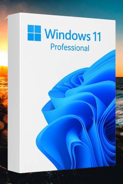 MICROSOFT Windows 11 Professional_AB021 1 User / 1 PC Lifetime Validity Retail License 32 /64 Bit (Flash Drive)