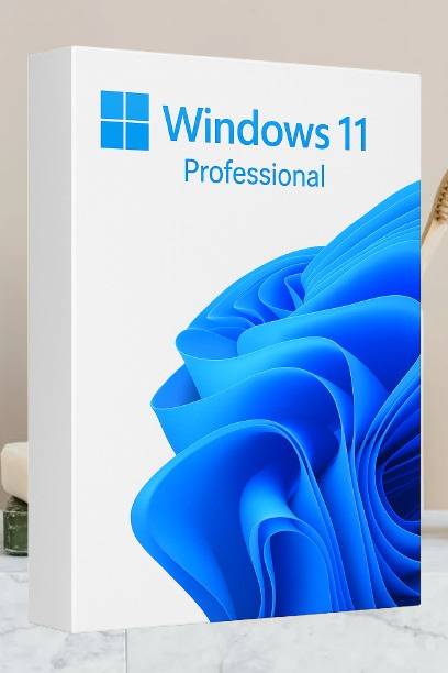 MICROSOFT Windows 11 Professional_AB027 1 User / 1 PC Lifetime Validity Retail License 32 /64 Bit (Flash Drive)