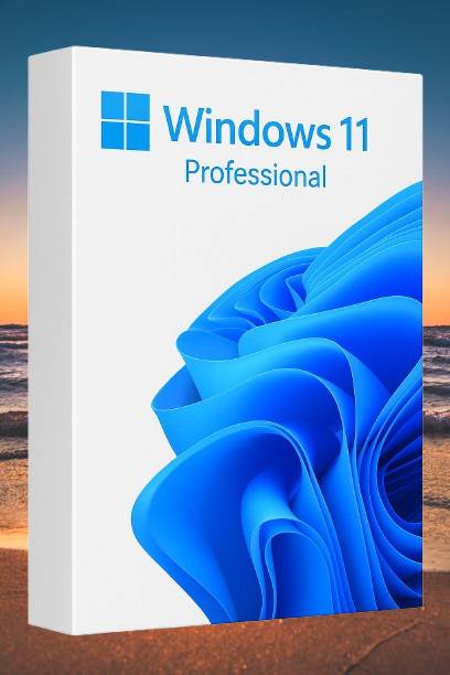 MICROSOFT Windows 11 Professional_AB020 1 User / 1 PC Lifetime Validity Retail License 32 /64 Bit (Flash Drive)