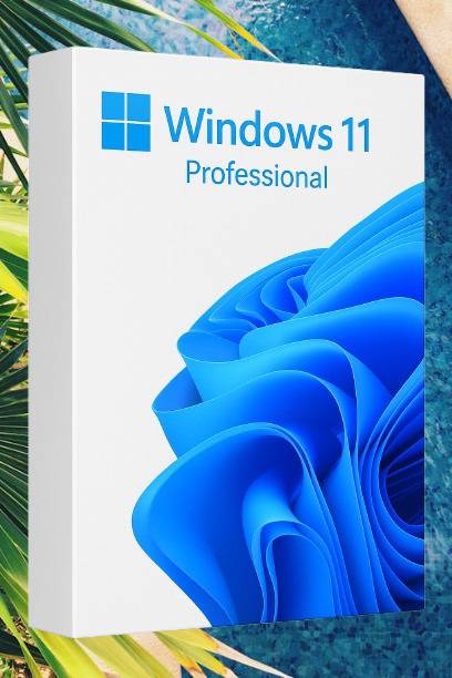 MICROSOFT Windows 11 Professional_AB026 1 User / 1 PC Lifetime Validity Retail License 32 /64 Bit (Flash Drive)