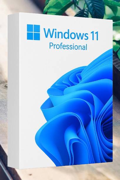 MICROSOFT Windows 11 Professional_AB08 1 User / 1 PC Lifetime Validity Retail License 32 /64 Bit (Flash Drive)