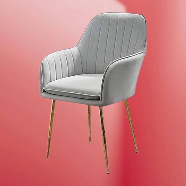 BHAGYA Velvet Dining Chairs, Cushion Seat Chair for Living Room Bedroom Restaurant Solid Wood Dining Chair