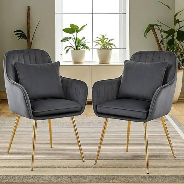 BHAGYA Velvet Chairs With Cushion Fabric Outdoor Chair