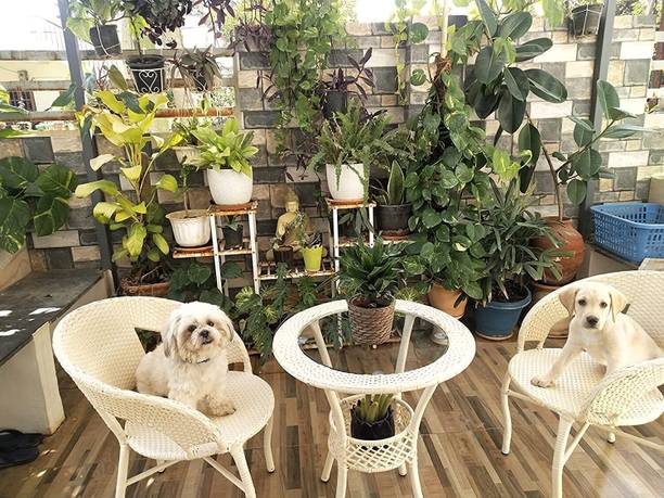 KLODOR Premium Designer Garden/Balcony/Terrace/Poolside Patio Seating Chair & Table Set Glass Outdoor Chair