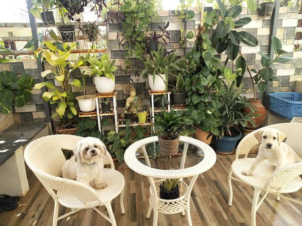 Spyder Craft Metal Table & Chair Set