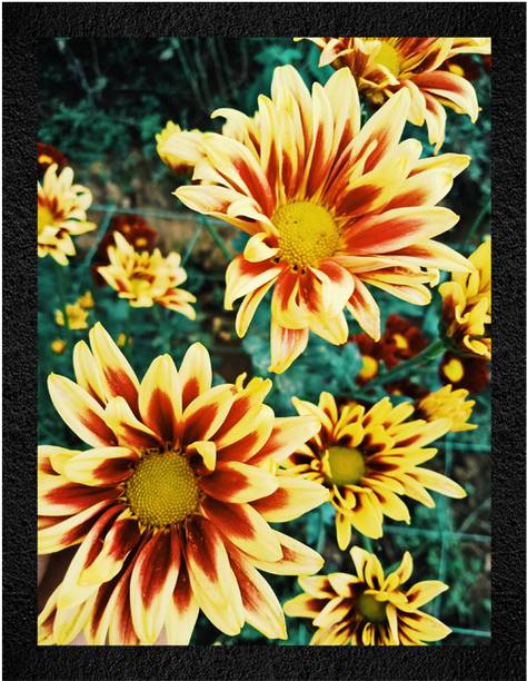 WALL PROFILE 3D Painting 11 inch x 14 inch Painting