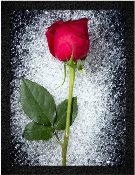 WALL PROFILE Wall Profile "Wall Art for Gifting & Home Wall Decor" 3D Painting 11 inch x 14 inch Painting