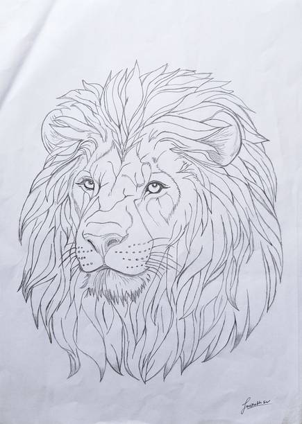 SaurabhWargad Lion Pencil Sketch Pencil 11.7 inch x 8.3 inch Painting