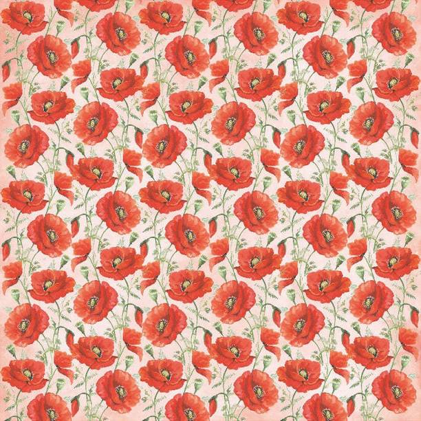 LITTLE BIRDIE Printed Cardstock Pack 6 x 6, 12 Designs, 24 Sheets, 250gsm - Poppies & Roses Paper Crafting Tool