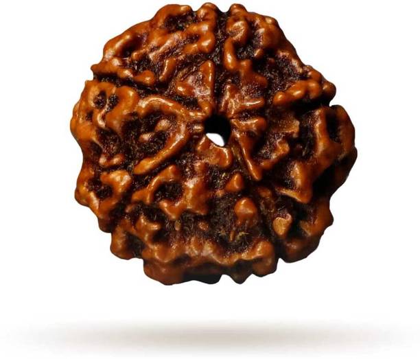 batyagems 5 Mukhi Nepali Rudraksha Wood Pendant
