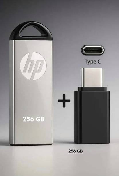 HP DS V220 256 GB Pen Drive Compatible with Laptop, Gaming Console, Audio Player, Tablet, Mobile USB 2.0 Metal Case
