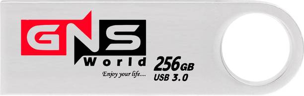 GNS World G-50 256 GB Pen Drive Compatible with Mobile, Laptop, Desktop Computer, Audio Player USB 3.0 Metal Case