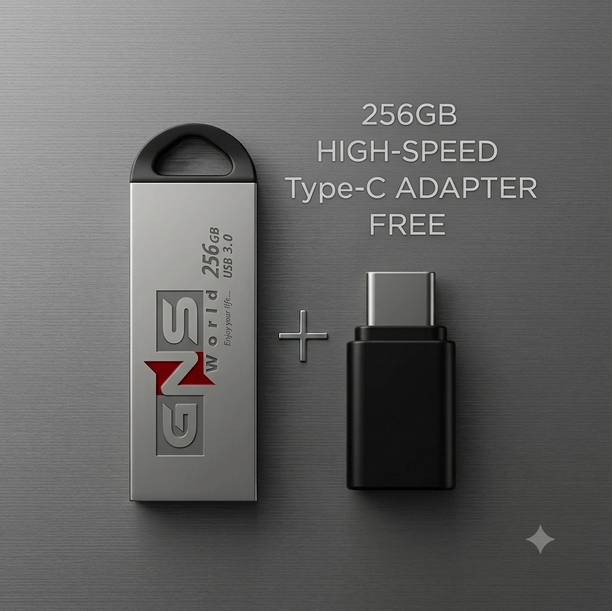 GNS World V220-G54-256GB C OTG 256 GB Pen Drive Compatible with Audio Player, Desktop Computer, Gaming Console, Laptop, Mobile, Netbook, Tablet, Television USB 2.0, USB 3.0 Metal Case
