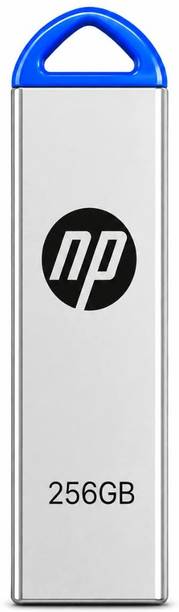 NP 256 GB PenDrive 256 GB Pen Drive Compatible with Audio Player, Desktop Computer, Gaming Console, Laptop, Mobile, Netbook, Tablet, Television USB 2.0 Metal Case