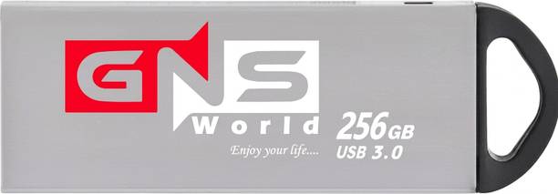 GNS World G-54-256 256 GB Pen Drive Compatible with Audio Player, Desktop Computer, Gaming Console, Laptop USB 3.0 Metal Case