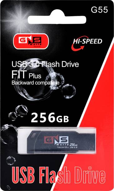 GNS World GNSG-55 256GB 256 GB Pen Drive Compatible with Laptop, Mobile, Desktop Computer USB 2.0, USB 3.0 Metal Case