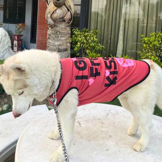 Lulala T-shirt for Dog, Cat, Rabbit